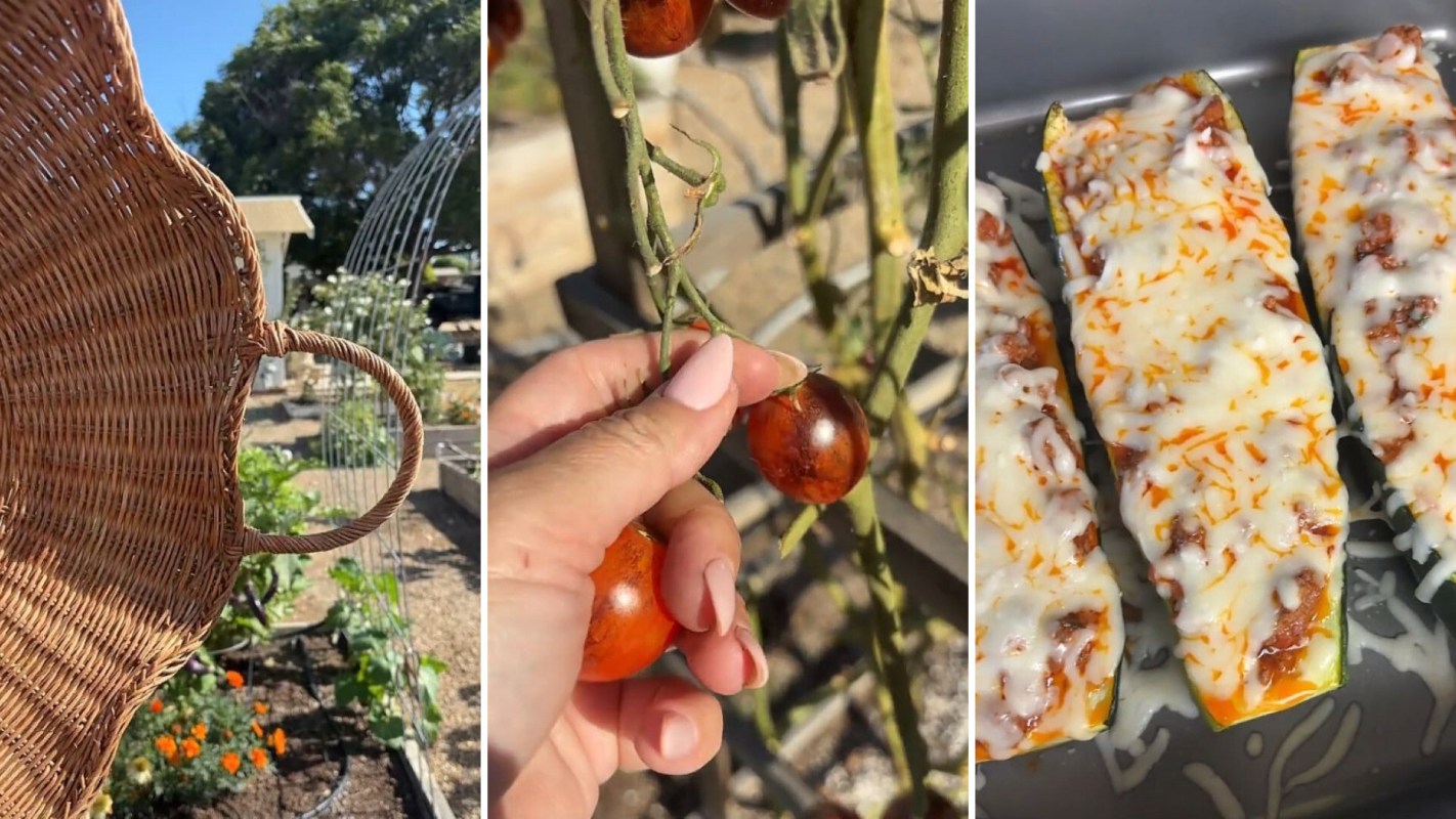 A wicker basket, ripe tomatoes on the vine, and stuffed zucchini topped with cheese.