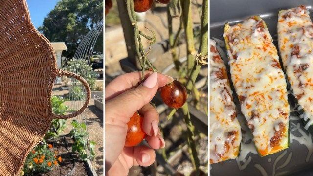 A wicker basket, ripe tomatoes on the vine, and stuffed zucchini topped with cheese.