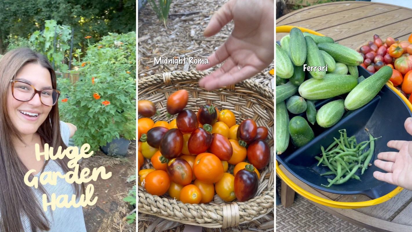 A woman stands in a garden surrounded by vegetables, showcasing a basket of tomatoes and cucumbers.
