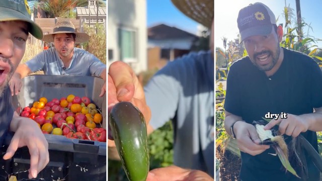 Two gardeners show off various harvested vegetables, including tomatoes, corn, and a jalapeno.