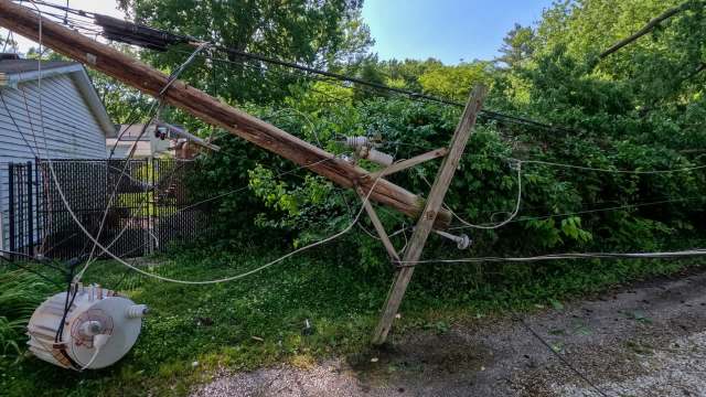 A fallen utility pole with downed power lines, surrounded by greenery and a gravel area.