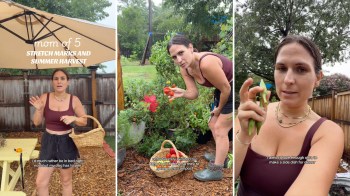 A gardener harvesting fruit and okra.