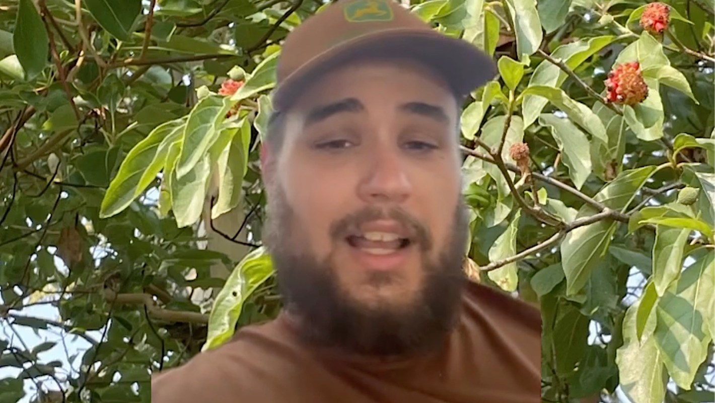 A man speaks while surrounded by green leaves and small red fruits.