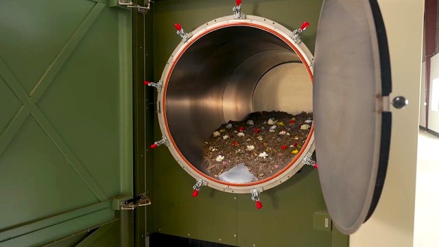 An open composter with soil and scattered flower petals inside.