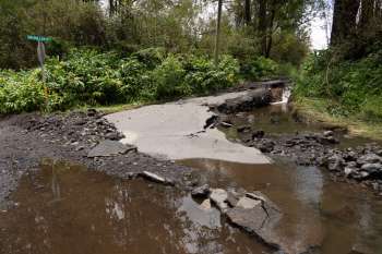 A damaged road with cracks and flooding surrounded by greenery and a street sign.