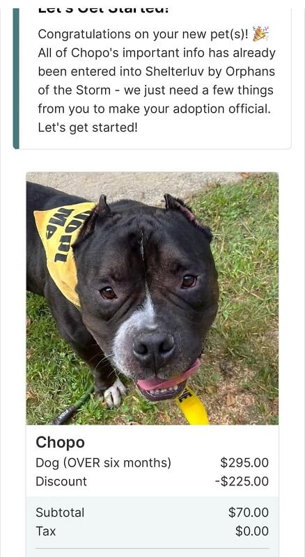 An adoption application for a dog named Chopo. 
