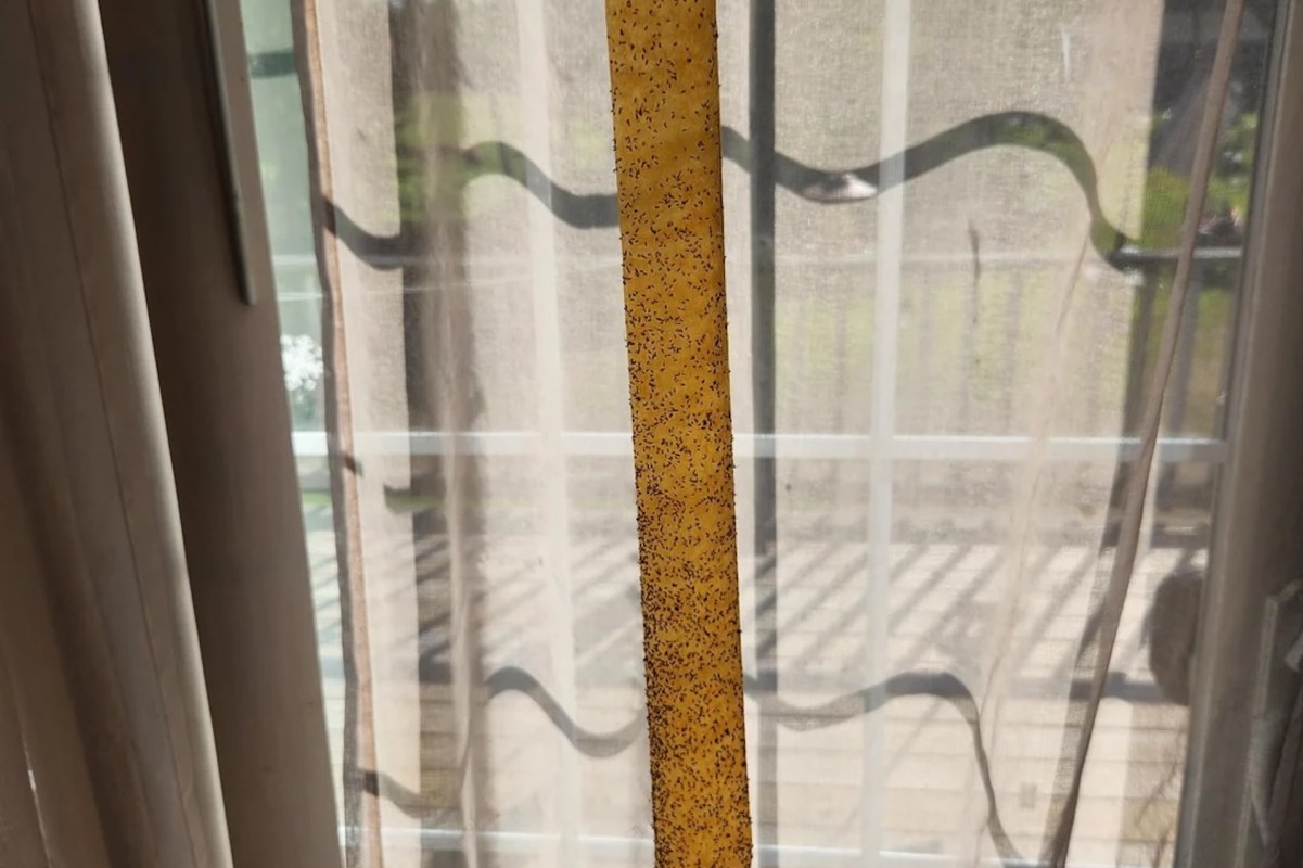 A yellow curtain with small speckles hangs against a sheer, light-colored curtain.