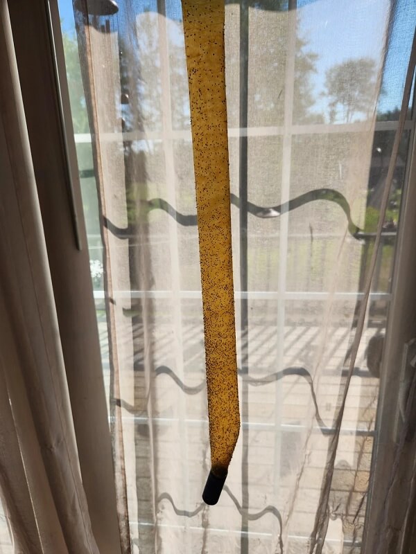 A yellow curtain with small speckles hangs against a sheer, light-colored curtain.