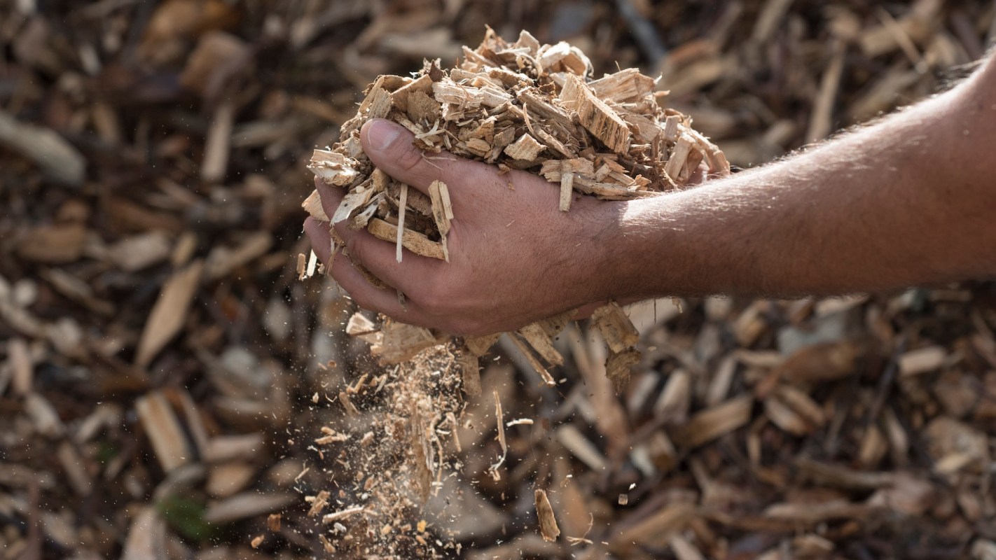 A person picking up wood chips.
