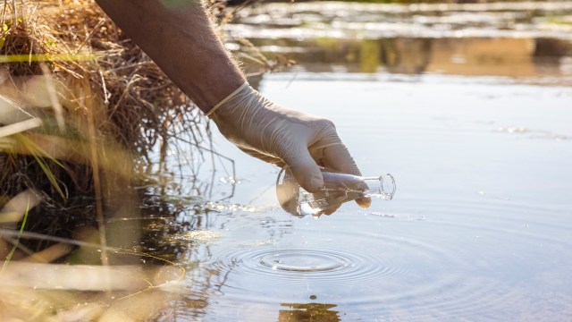 A person wearing gloves taking a sample of water.