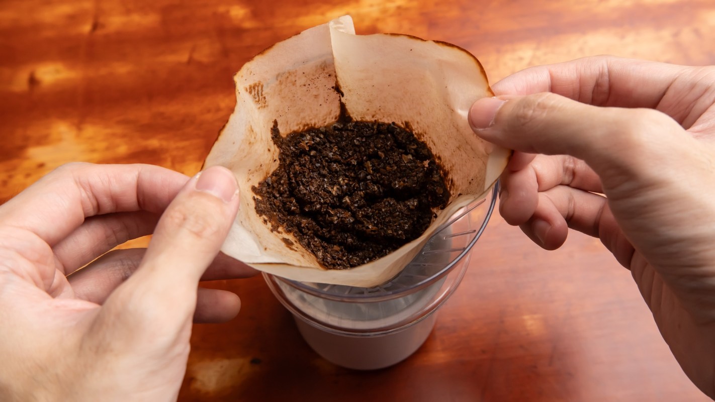 A filter with coffee grounds.