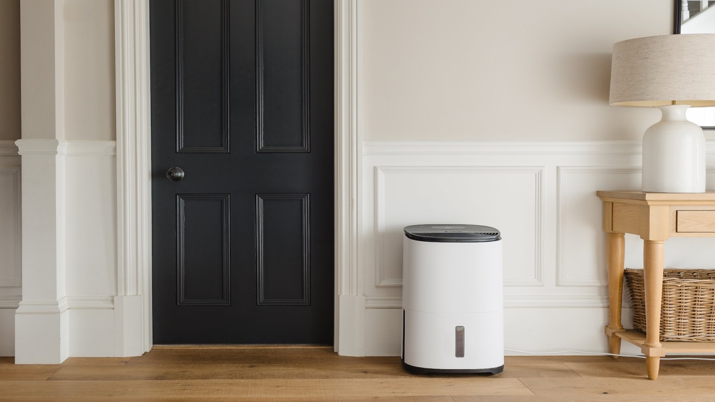 A white air purifier next to a black door in a well-decorated room with wooden flooring.