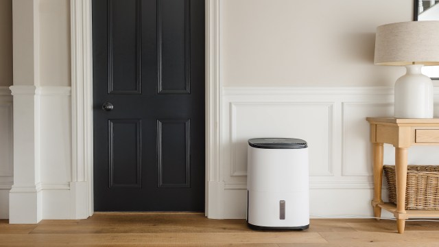 A dehumidifier.