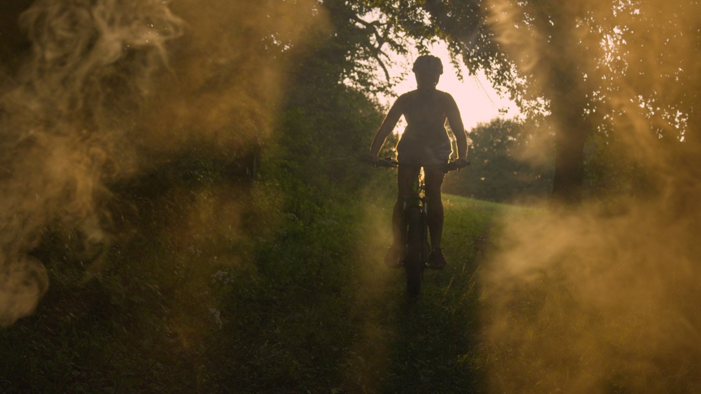 A person rides a bicycle down a narrow path surrounded by greenery and mist at sunset.