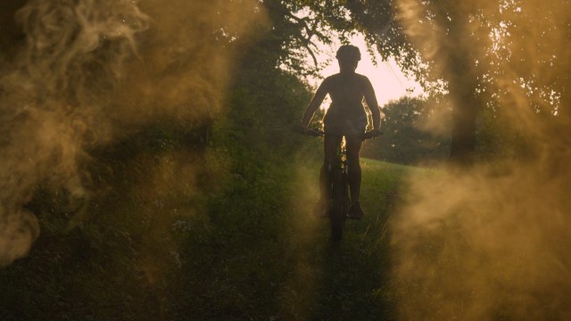 A person rides a bicycle down a narrow path surrounded by greenery and mist at sunset.