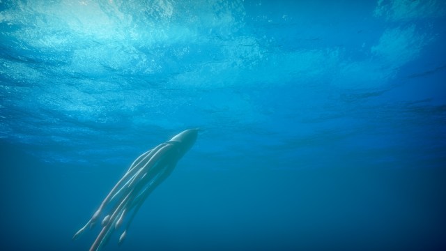 An octopus is partially visible in a dark underwater setting.