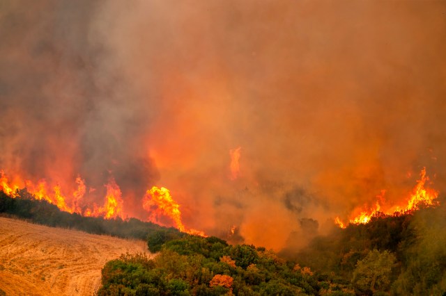 A large wildfire spreads across a grassy hillside with thick smoke and flames.