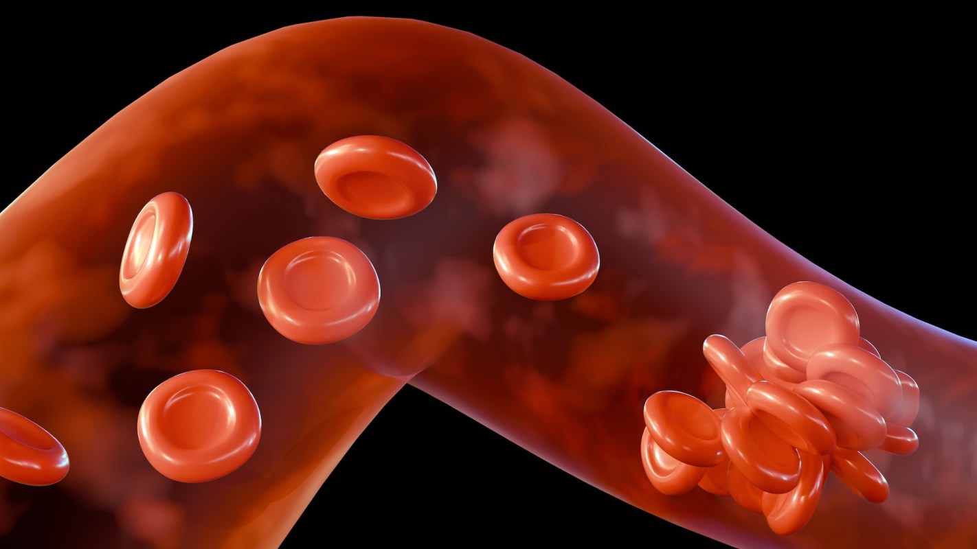 Illustrated red blood cells.