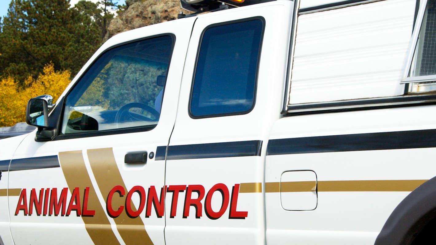 A vehicle marked with "ANIMAL CONTROL" parked near trees.