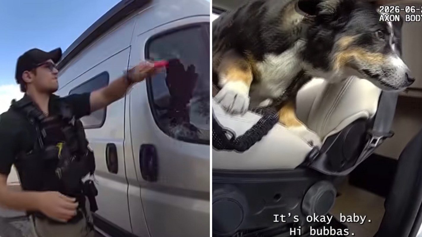 A deputy breaking a van window to rescue a dog.
