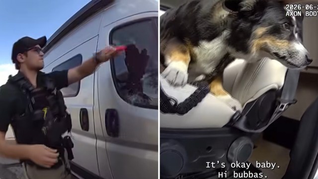 A deputy breaking a van window to rescue a dog.