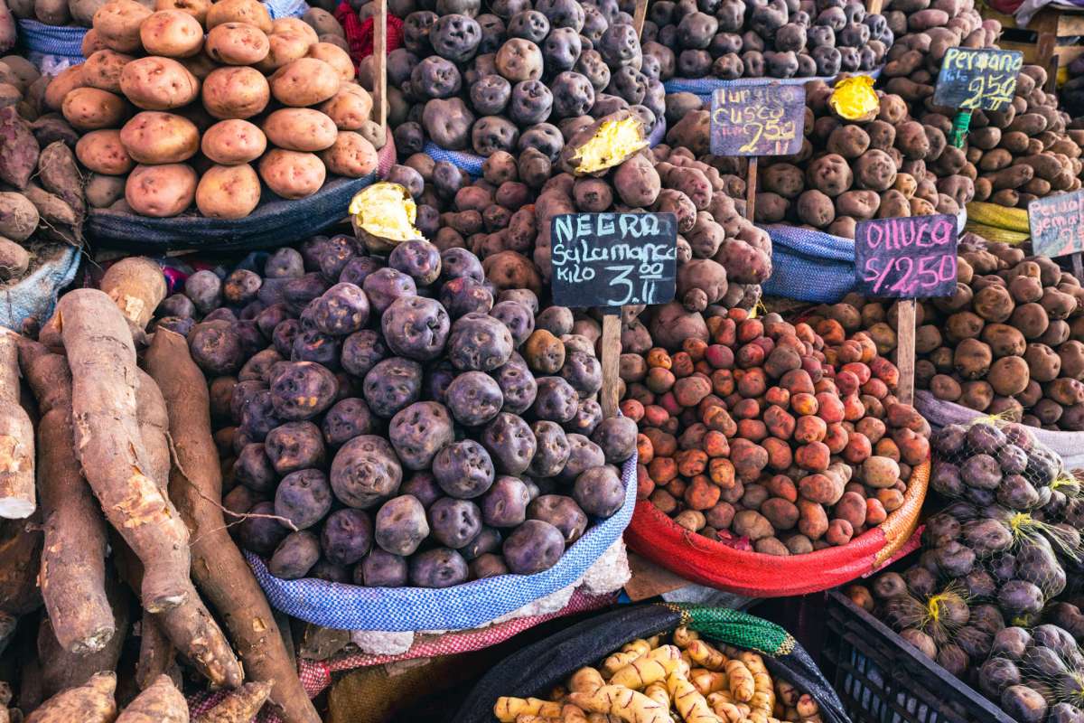 A variety of potatoes and root vegetables are displayed in baskets at a market.