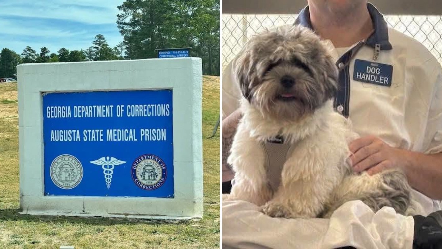 A sign for the Georgia Department of Corrections at Augusta State Medical Prison alongside a dog and its handler.
