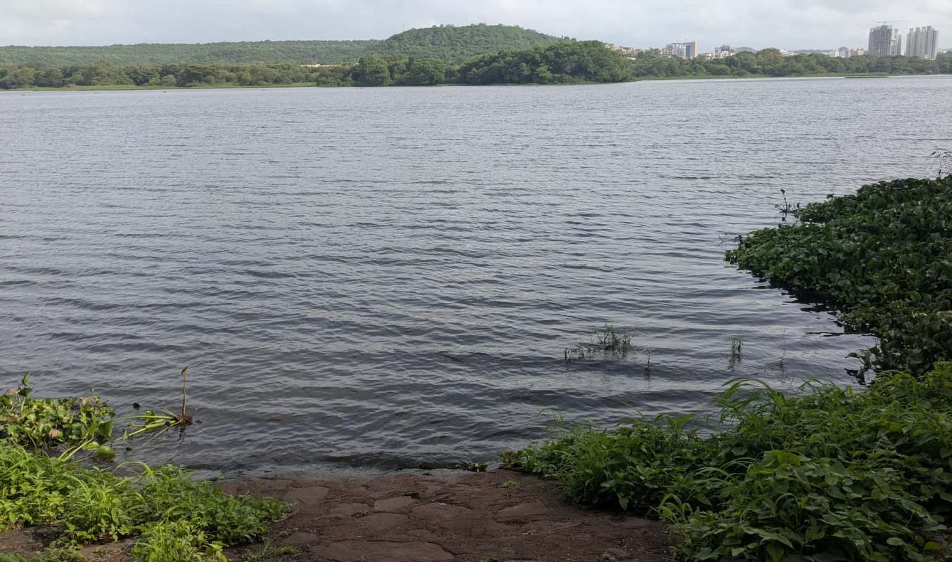 A body of water.