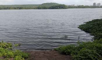 A body of water.