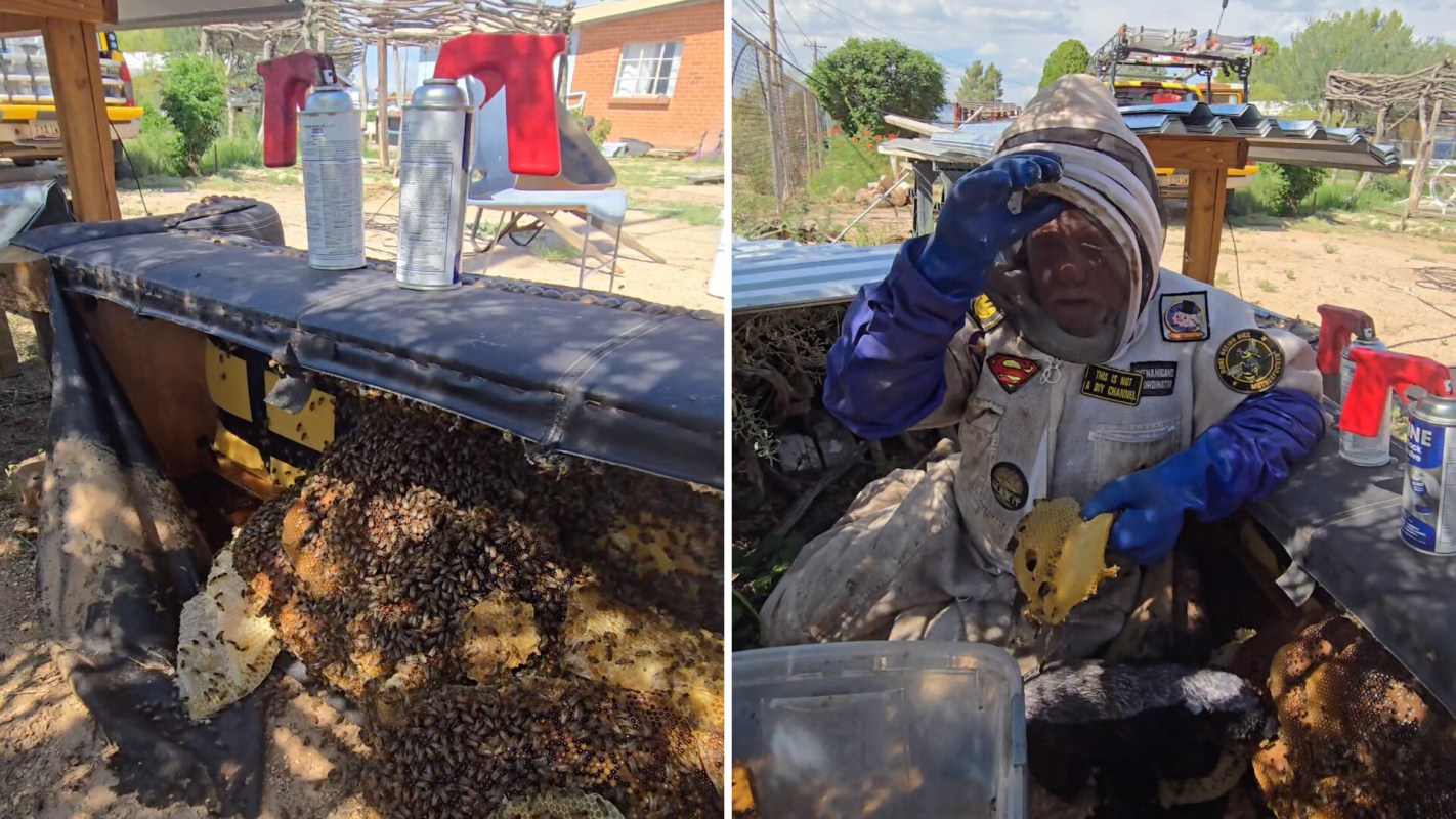 A person in protective gear handles honeycomb while surrounded by bees.