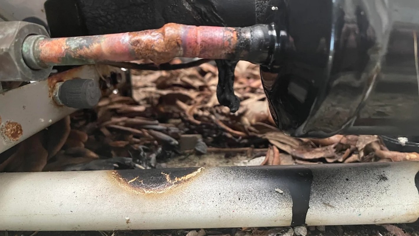 A close-up of a corroded metal pipe next to a black object on a ground covered with leaves.