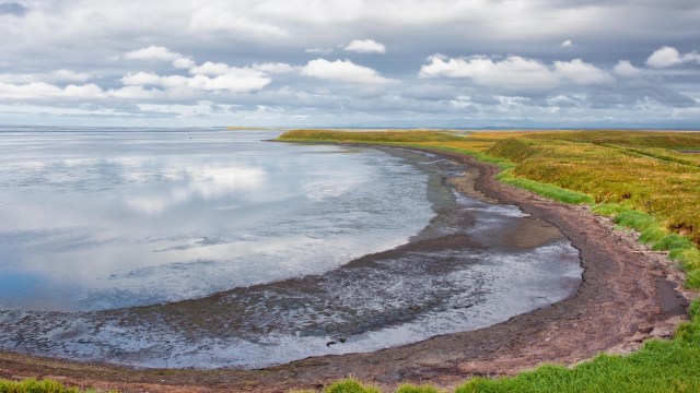A calm shoreline with a grassy landscape and cloudy sky reflecting in the water.