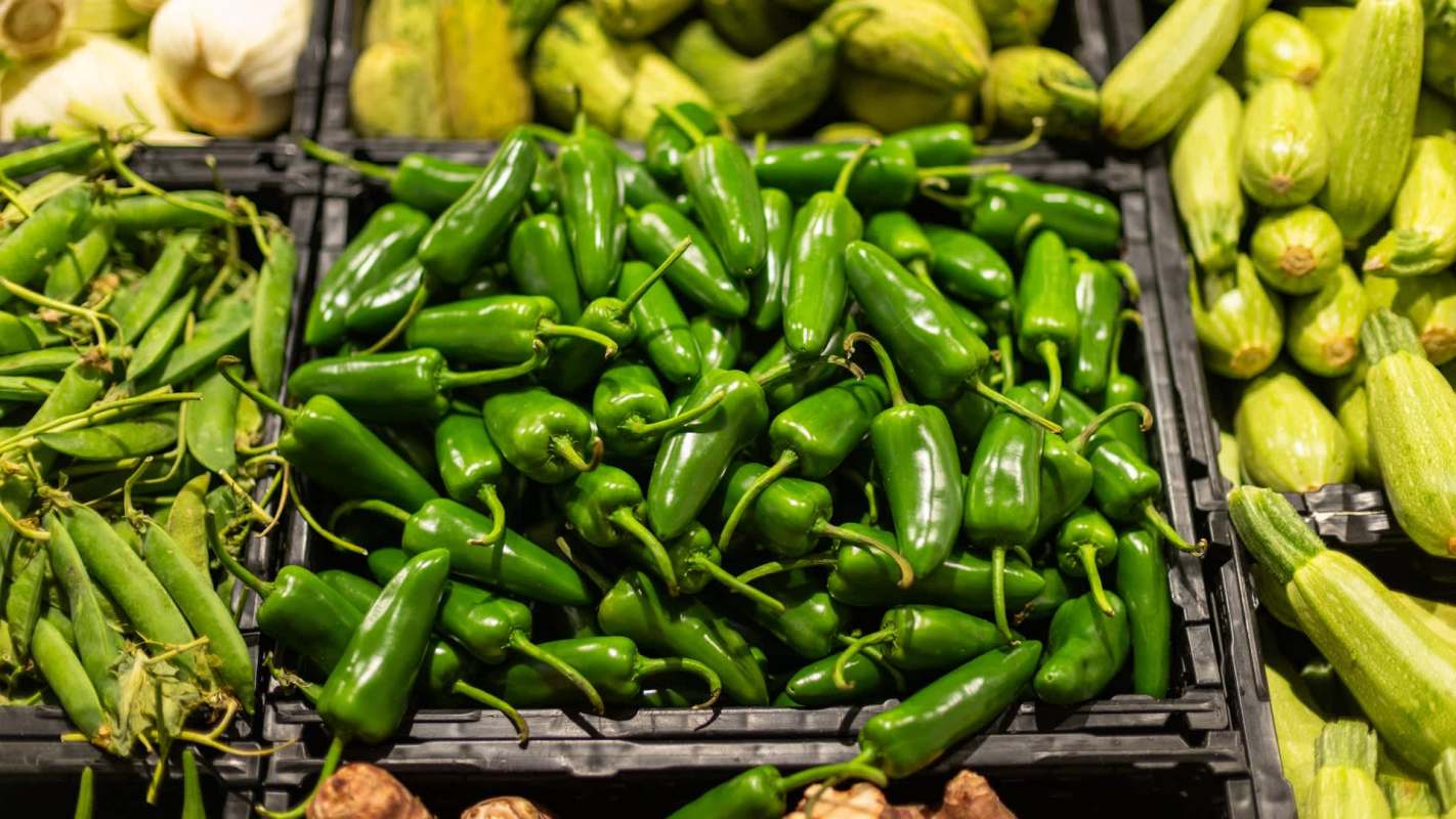 Jalapeño peppers in a grocery store.