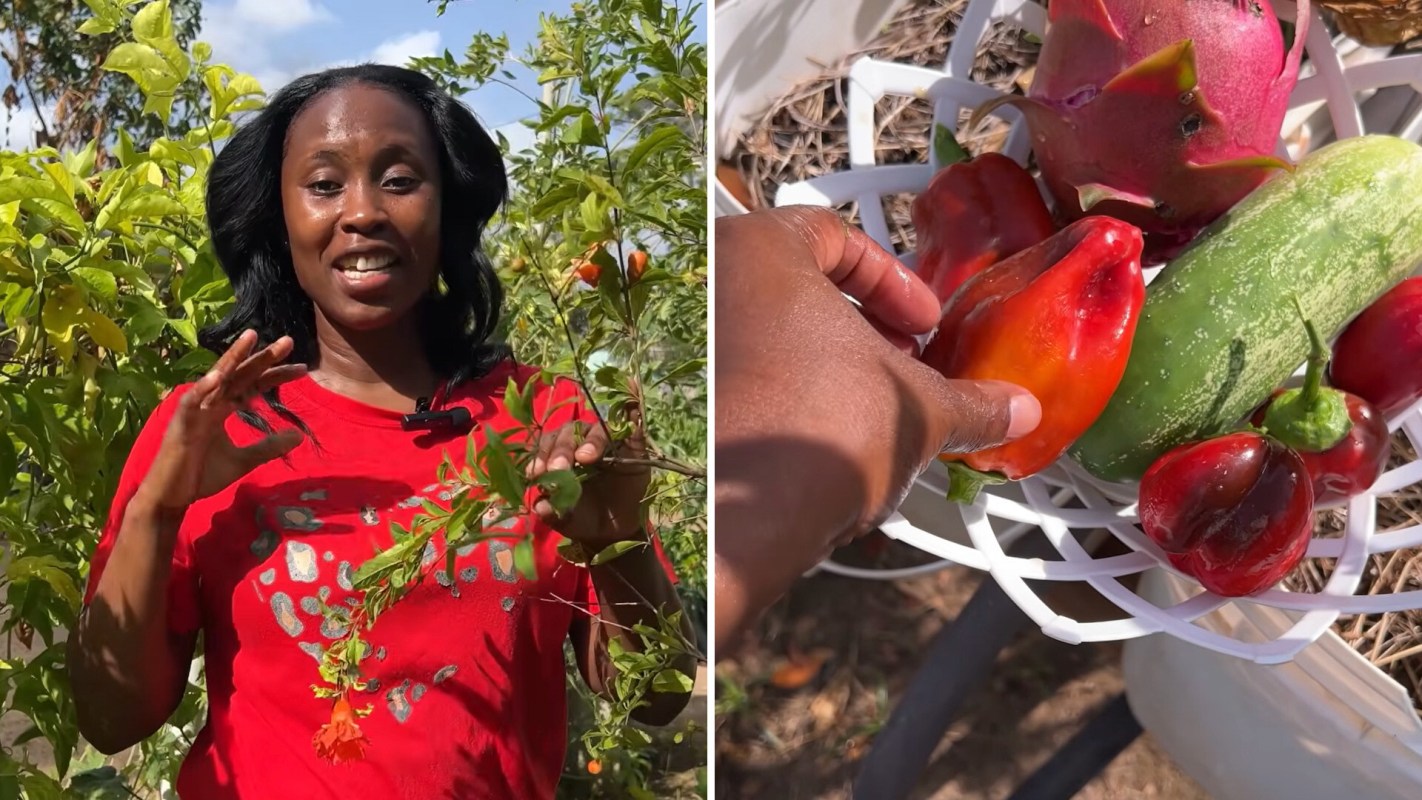 A woman holds a plant branch with leaves and flowers while another image shows various harvested vegetables.