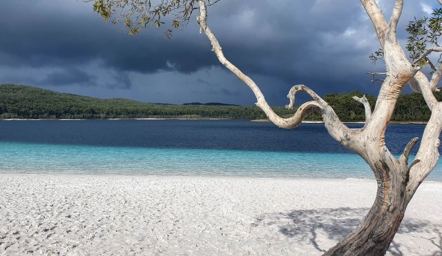 K'gari Island in Queensland, Australia.
