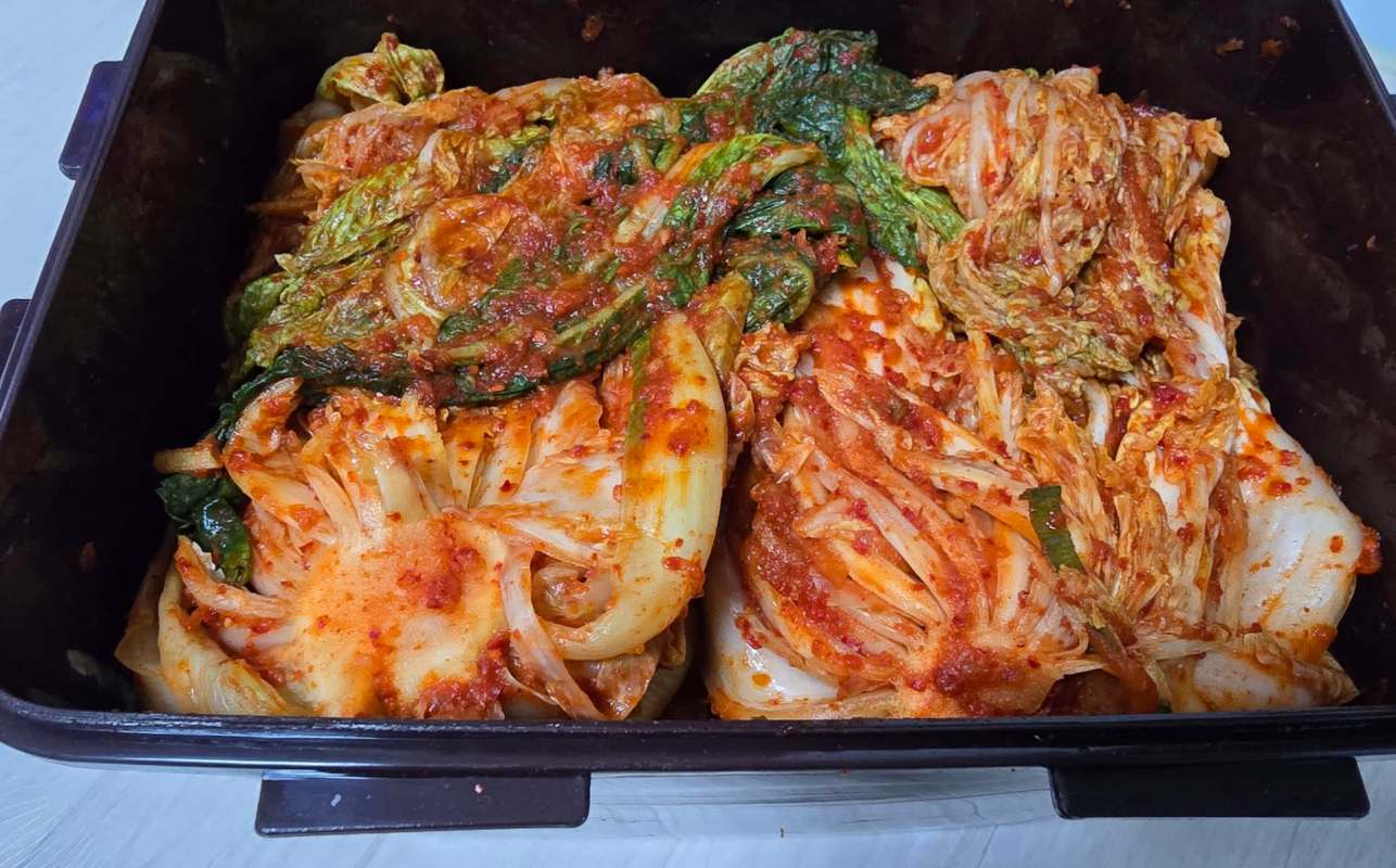 A container filled with kimchi, showcasing layered cabbage and red chili seasoning.