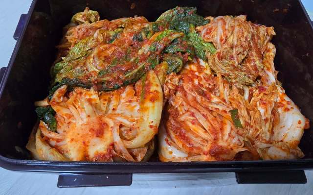 A container filled with kimchi, showcasing layered cabbage and red chili seasoning.