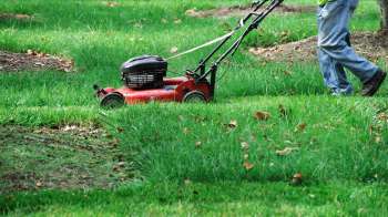 A person uses a lawn mower to cut grass in a yard.