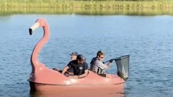 Three people are in a pink flamingo-shaped boat on a body of water, with one using a fishing net.