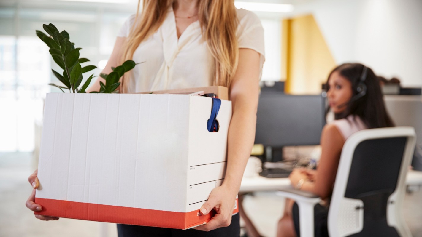A person carries a box with a plant while another person sits at a desk in an office setting.