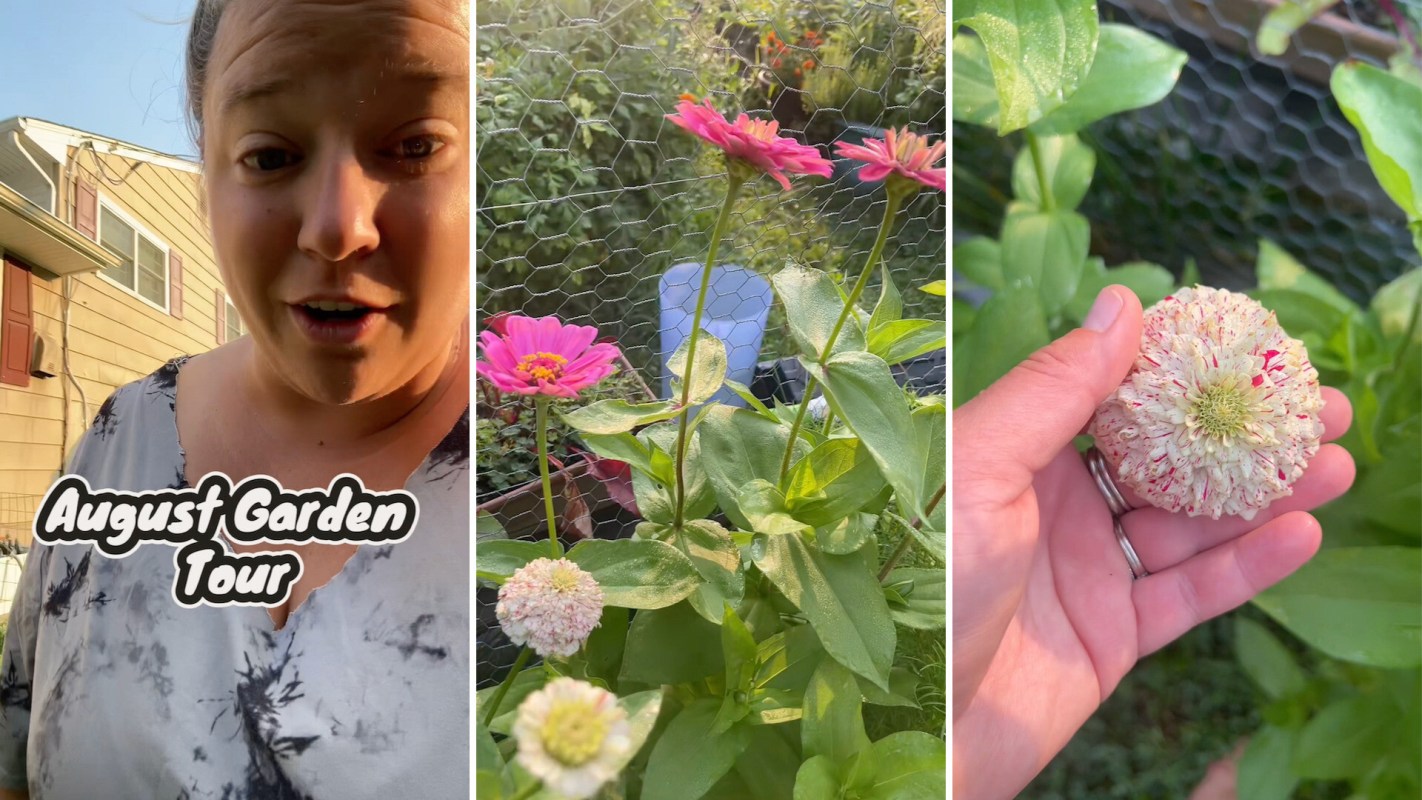 A gardener showing off late-season production.