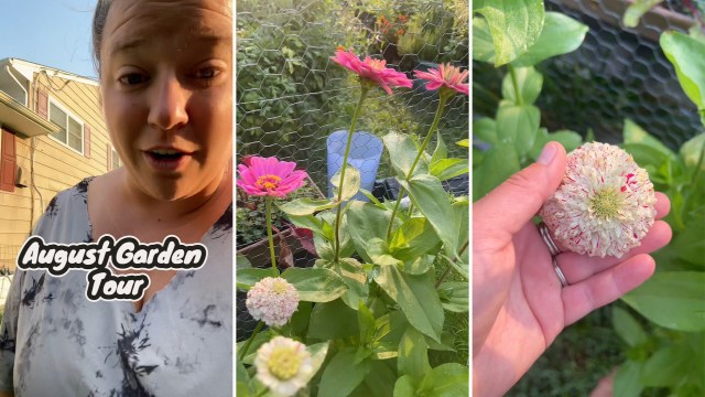 A gardener showing off late-season production.