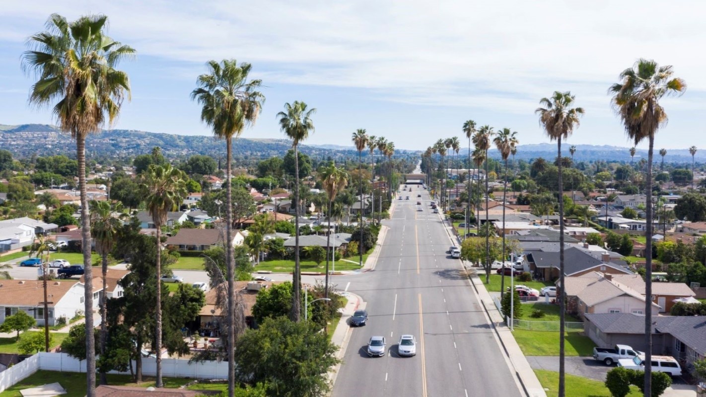 A street lined with palm trees, leading through a suburban neighborhood with houses and greenery.