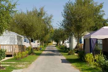 A pathway lined with mobile homes and trees in a residential area.