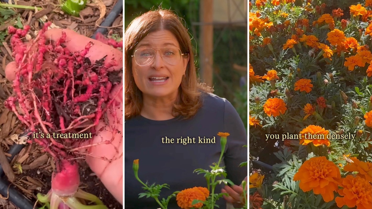 A woman discusses gardening techniques alongside images of plants and flowers.