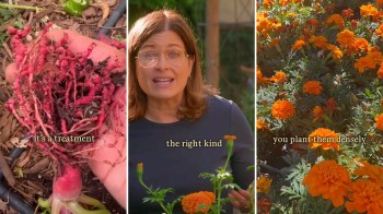 A woman discusses gardening techniques alongside images of plants and flowers.