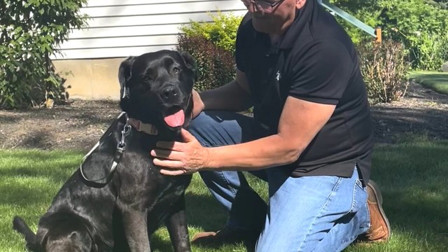 A man pets a black dog in a grassy area near a house.