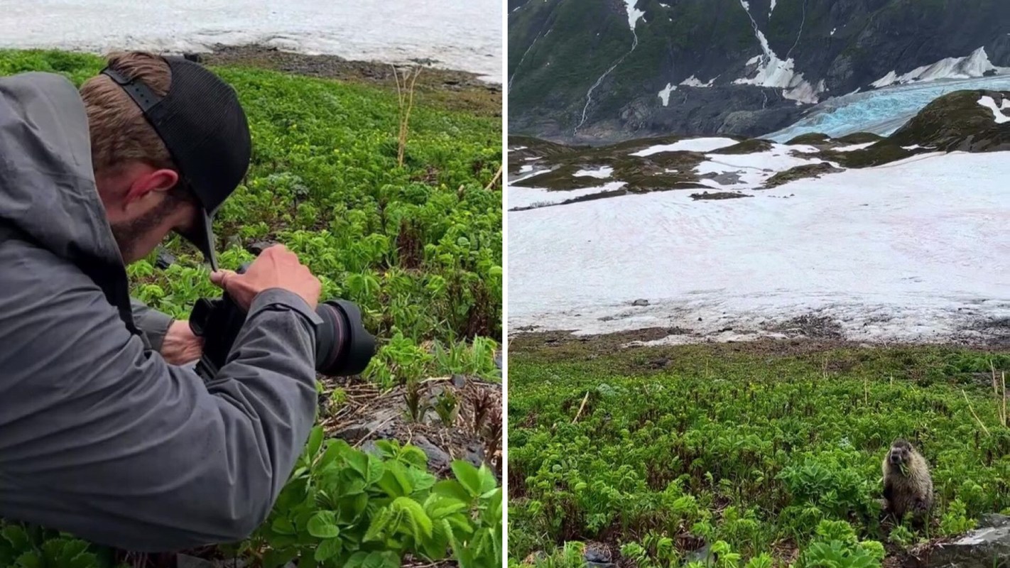 A person photographing a marmot.