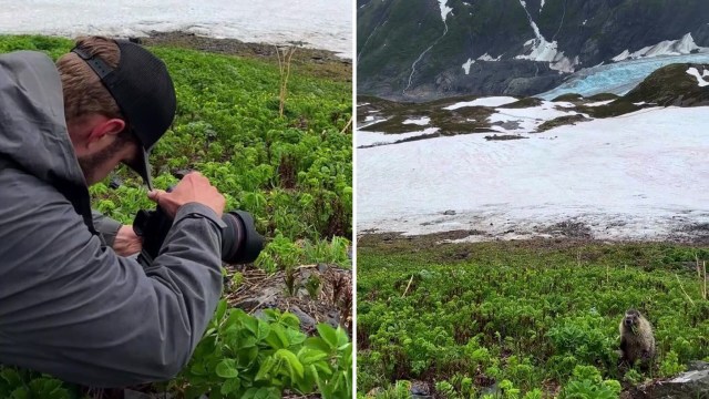 A person photographing a marmot.