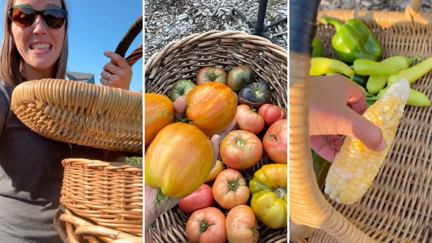 A woman holds a basket filled with various fruits and vegetables, including tomatoes, corn, and peppers.